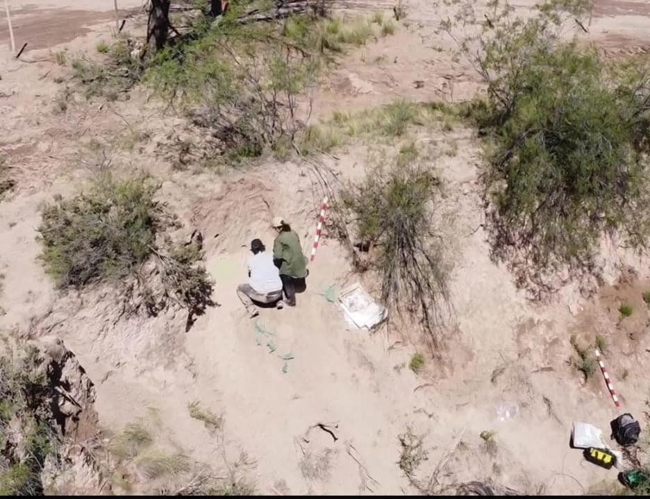 Hallazgo de cráneo en un campo de Telén: se trataría de un enterratorio ancestral
