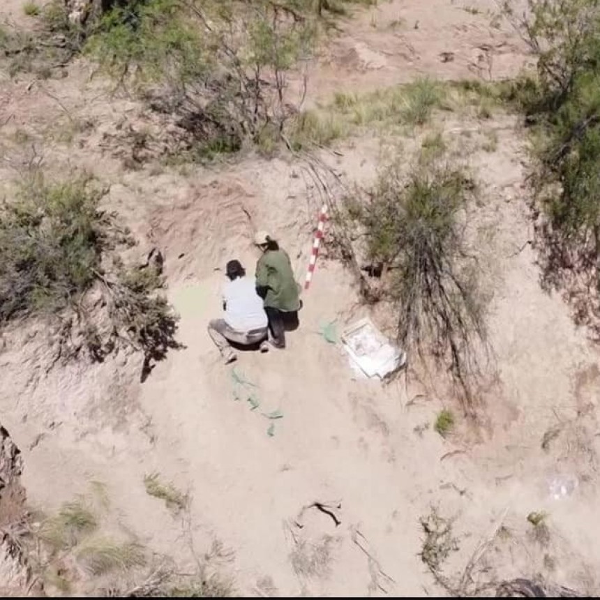 Hallazgo de cr&aacute;neo en un campo de Tel&eacute;n: se tratar&iacute;a de un enterratorio ancestral