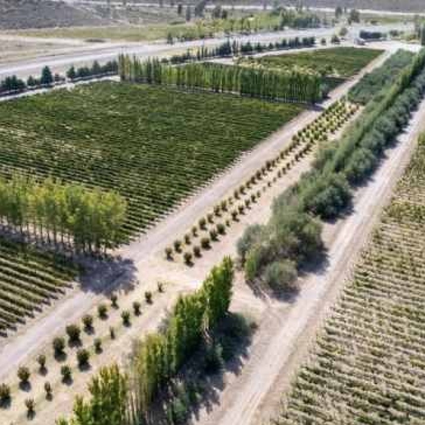 La Pampa suma 500 hect&aacute;reas bajo riego en Casa de Piedra
