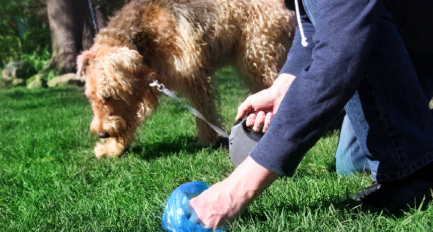 La Pampa: El Concejo Deliberante de un pueblo aprobó una campaña para Promueven la recolección de los desechos de mascotas en espacios públicos