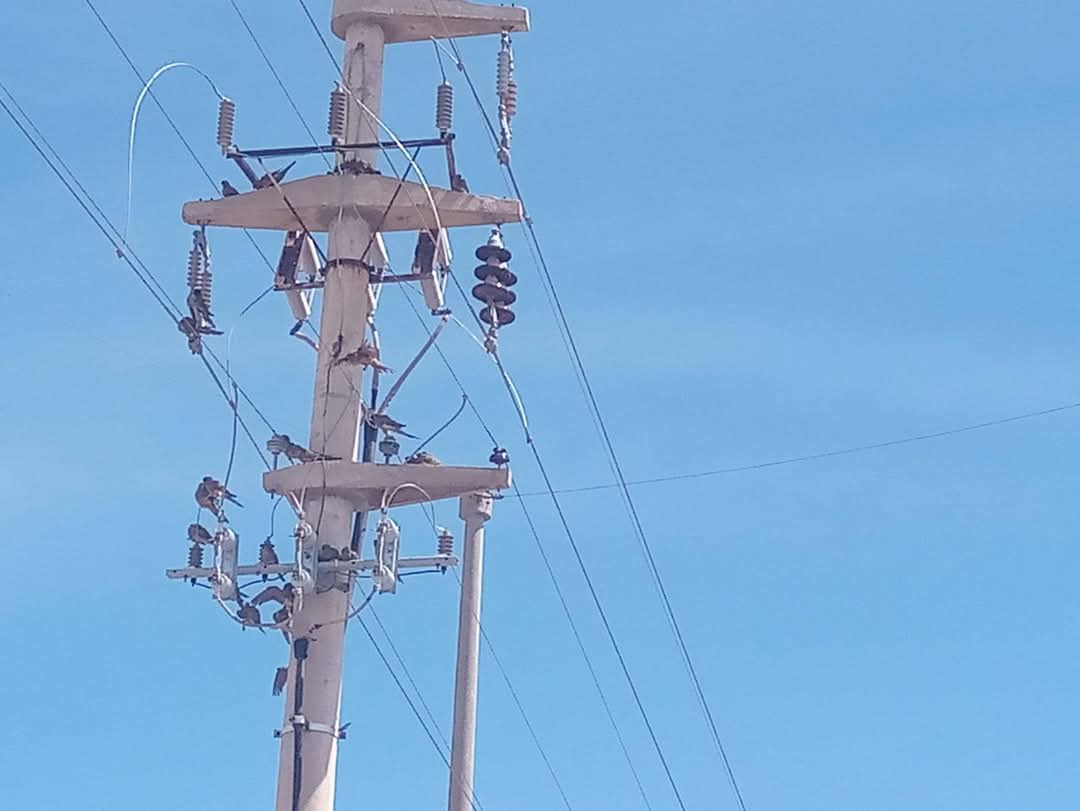 La Pampa: Corte de Luz en 25 de Mayo y con responsables