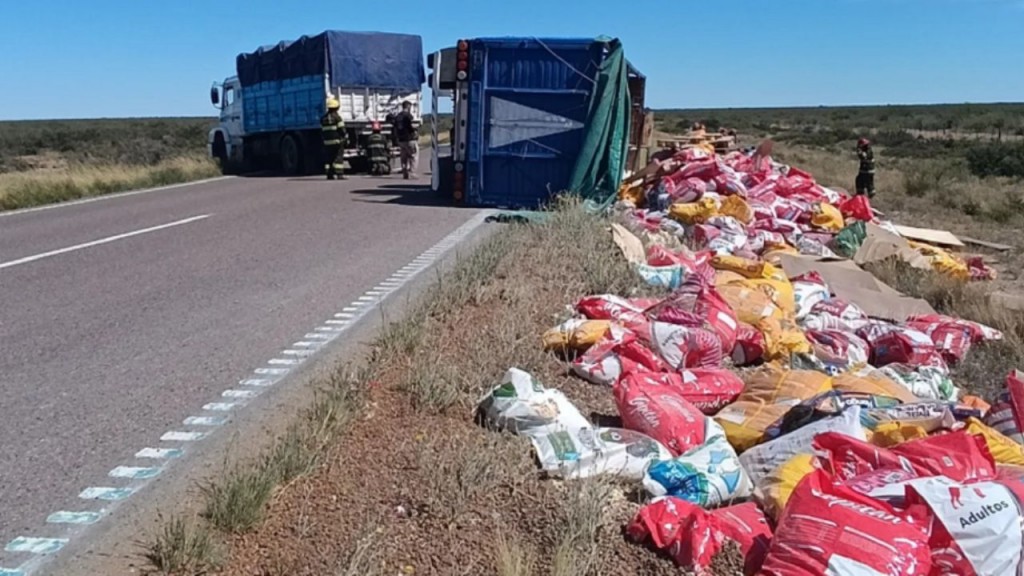 La Pampa: Vuelco de un Camión con alimentos para perros y los refugios de la zona recibieron una gran noticia