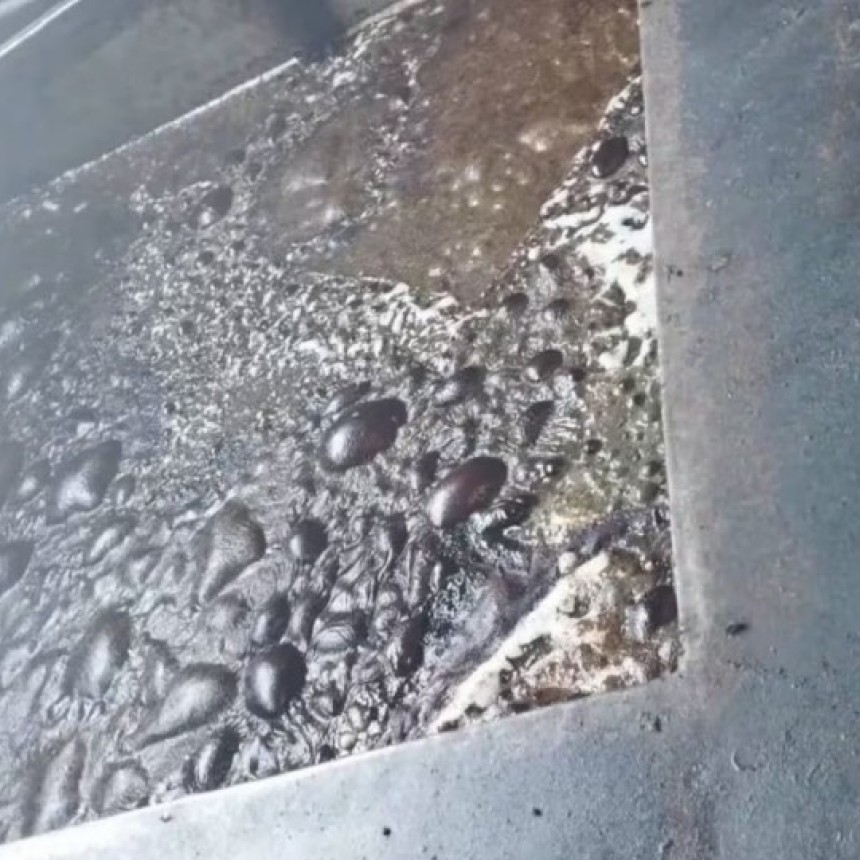Un hombre muri&oacute; al caer en un tambor de agua hirviendo mientras pelaba un chancho