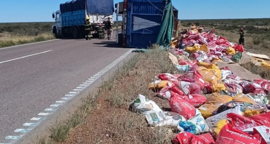 La Pampa: Vuelco de un Cami&oacute;n con alimentos para perros y los refugios de la zona recibieron una gran noticia